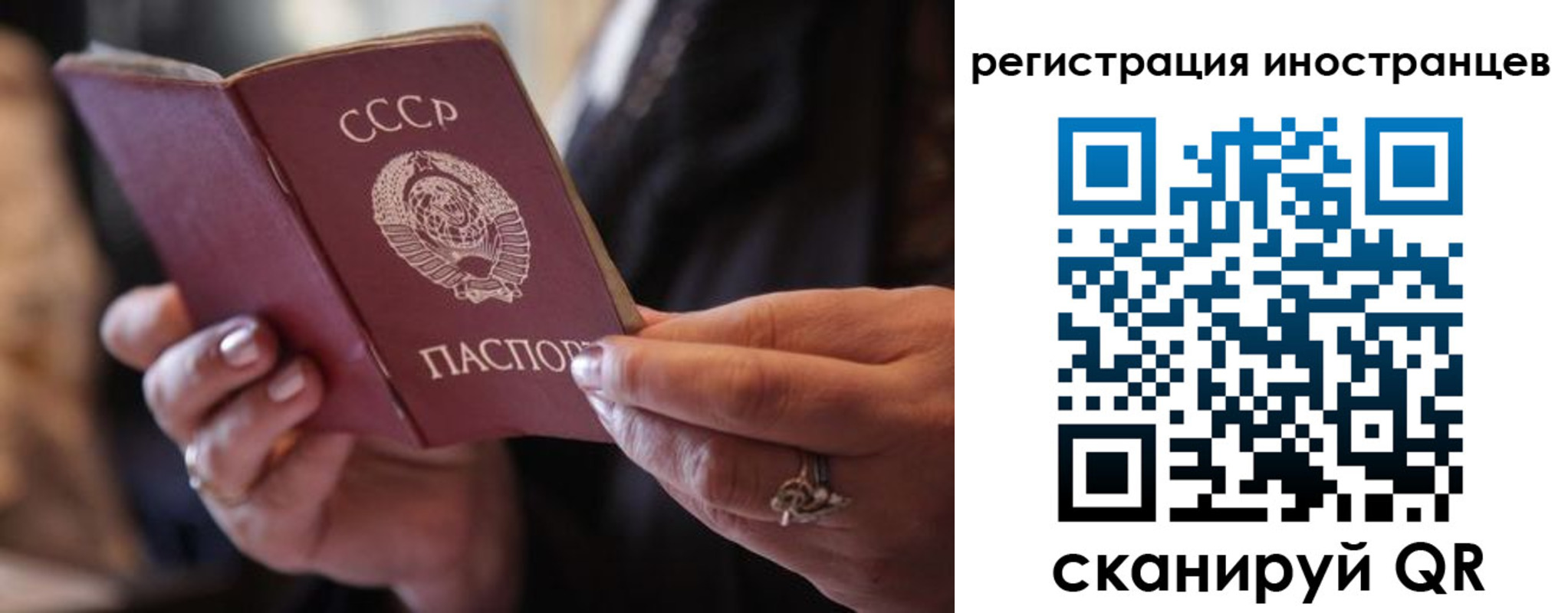 где прописаться в Рошале